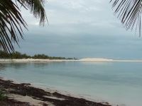 Photos floride et Bahamas 125.jpg